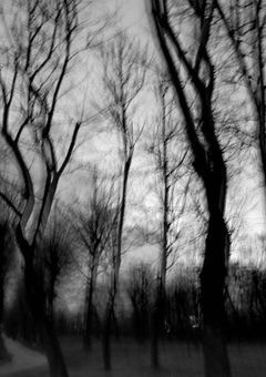 河童を見たら…、   －𝐑𝐞𝐪𝐮𝐢𝐞𝐦－。