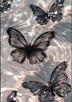 人気絶頂の歌い手グループの日常