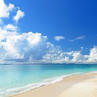 草食動物さんのアイコン画像