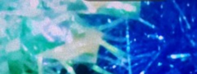 絶賛病み期の自分(´°ᗜ°)ﾊﾊｯ..さんの壁紙画像