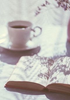 　もう一度だけ 、好きって言わせて　