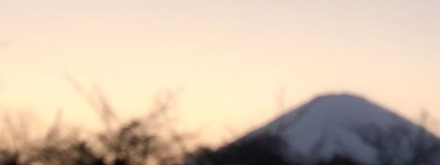 🍋琥珀 恋萌🌼ꯁꯧ  さんの壁紙画像