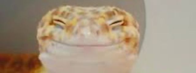 優香さんの壁紙画像