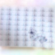 なのさんのアイコン画像