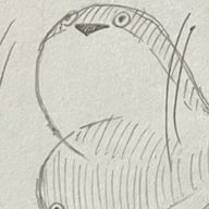 Kuu/くうさんのアイコン画像