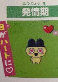 壁打ち