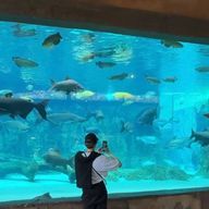 からすさんのアイコン画像