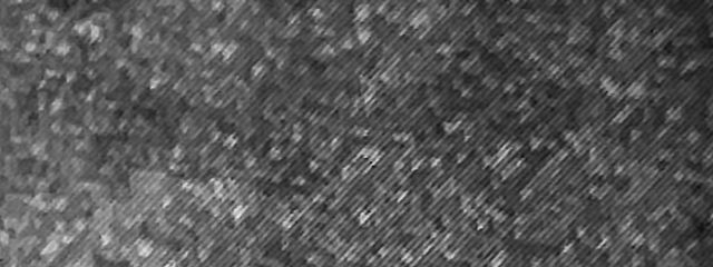 ごまごままごま 不定期の権化さんの壁紙画像