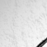 ごまごままごま 不定期の権化さんのアイコン画像