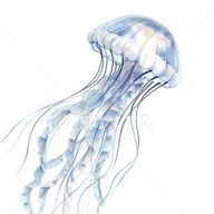 ゆず🥀🌨️さんのアイコン画像