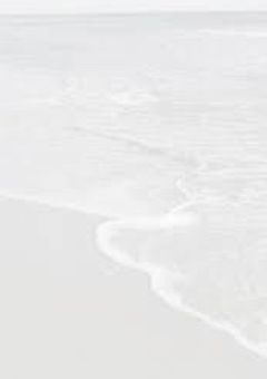 海月に毒がなければ"綺麗"と言われただろうか