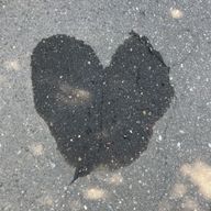 砂糖さんさんのアイコン画像