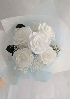 白い薔薇のように美しい思い出