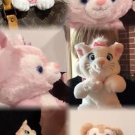 船津さつき(闘病記録垢さんのアイコン画像