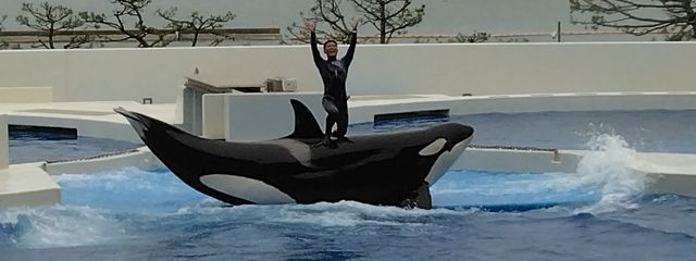 海戸シャチさんの壁紙画像