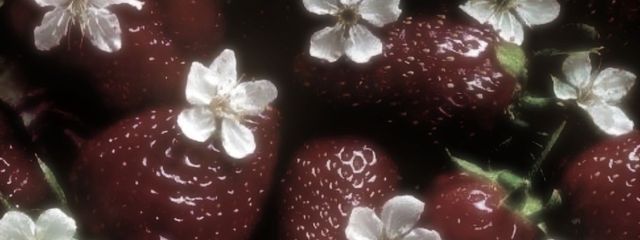 すーぱーどらいさんの壁紙画像
