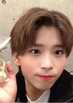 忍者の陽キャ軍団に溺愛されてます