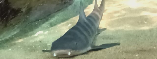 優羽@低浮上さんの壁紙画像