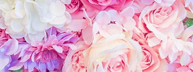 hanayakaさんの壁紙画像