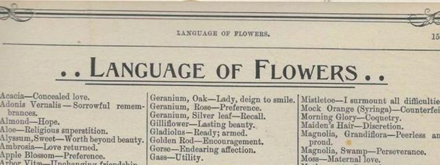 月華さんの壁紙画像