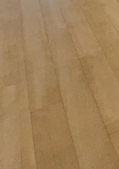 #夜桜 環. @鳥崎(?)専用部屋