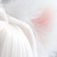 えびてん丸＊諦めがお迎えに来てるさんのアイコン画像