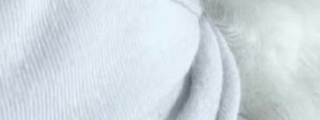 #  🧸  ____  ,さんの壁紙画像