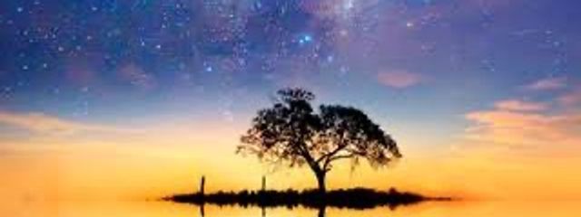 魔理       ひっそり死にましたさんの壁紙画像