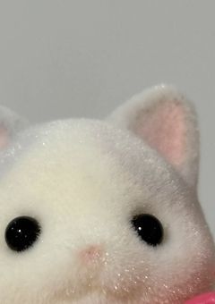 独