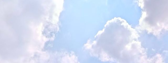 sune さんの壁紙画像