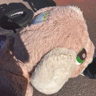 なれさんのアイコン画像