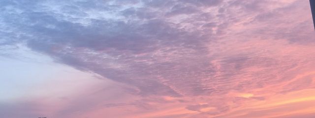   ユキ @低浮上さんの壁紙画像