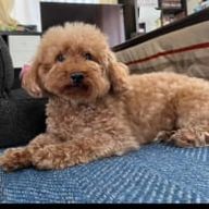 稲月さんのアイコン画像