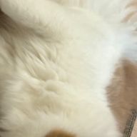 ふぁんふぁふぁん！さんのアイコン画像