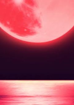狐の神隠し
