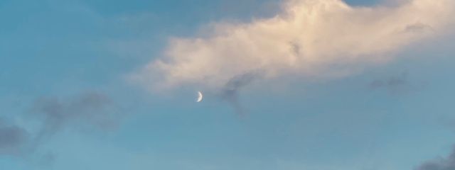 Aya🍨🍀🫧さんの壁紙画像