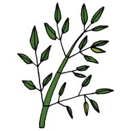 笹さんのアイコン画像