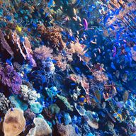 みれしゃんさんのアイコン画像