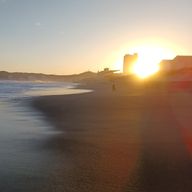 蒼 さんのアイコン画像