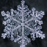 Snow flakeさんのアイコン画像