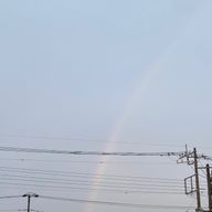 儚無　零さんのアイコン画像