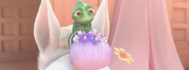 きなこさんの壁紙画像