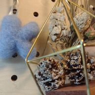 Kinokonoさんのアイコン画像