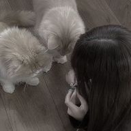 /•᷅‎‎•᷄\୭さんのアイコン画像