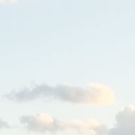 WINDYさんのアイコン画像