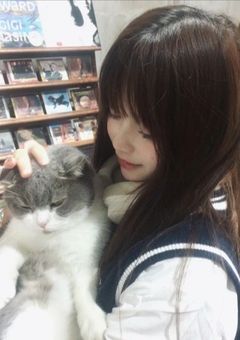 ひかえめに言っても、これは愛