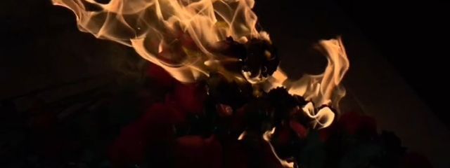 Hu✉➷さんの壁紙画像