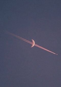 『幸せな女の子は恋をした。』