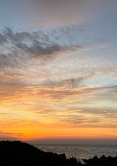 目黒蓮、狼に好かれてます。