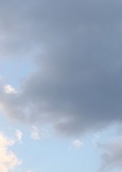 サヨナラ私サヨナラ皆